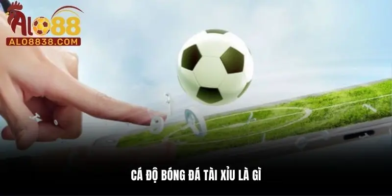 Hình thức đầu tư Tài Xỉu ưa chuộng