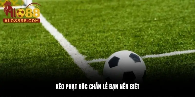 Kèo phạt góc chẵn lẻ bạn nên biết