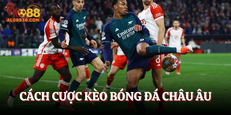 Cách đặt cược kèo châu Âu