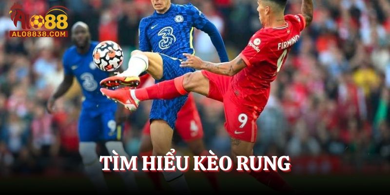 Tìm hiểu về kèo rung